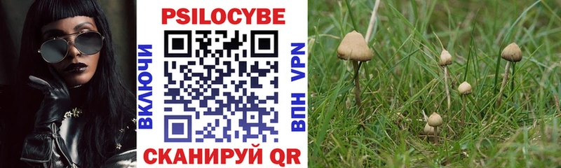 Галлюциногенные грибы мухоморы MEGA tor Куртамыш